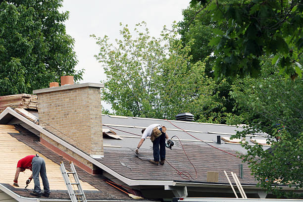 Best Storm Damage Roof Repair  in San Bruno, CA