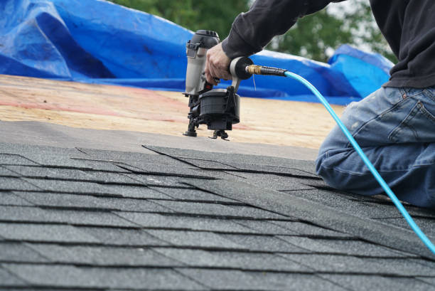 Best Roof Gutter Cleaning  in San Bruno, CA