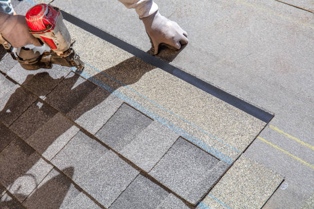 Best Metal Roofing Contractor  in San Bruno, CA